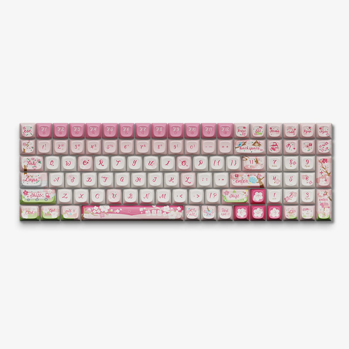 Blossom Love